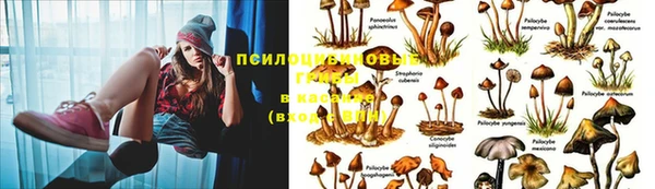 mdpv Елабуга