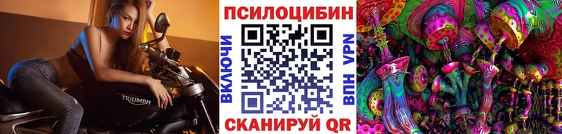 Псилоцибиновые грибы Psilocybe Новая Усмань